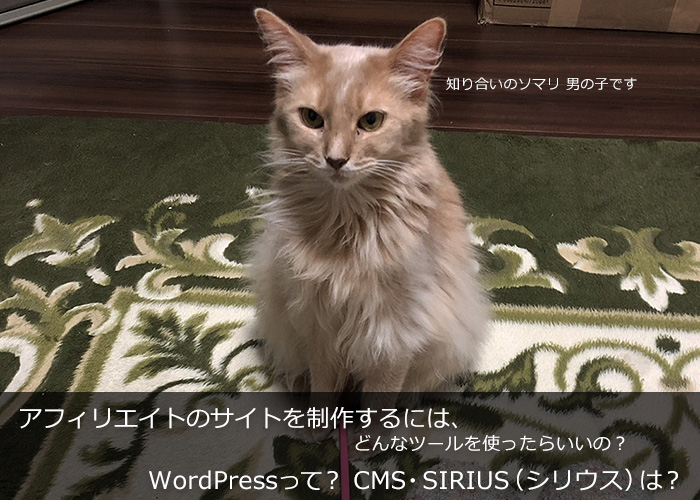 アフィリエイトのサイトを制作するには、どんなツールを使ったらいいの？ WordPressって？ CMS・SIRIUS（シリウス）は？